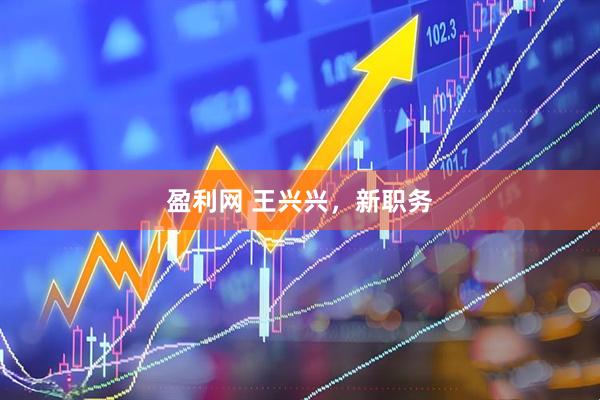 盈利网 王兴兴，新职务