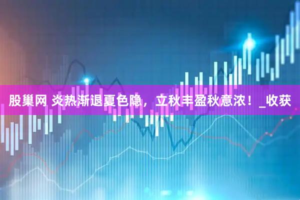 股巢网 炎热渐退夏色隐，立秋丰盈秋意浓！_收获