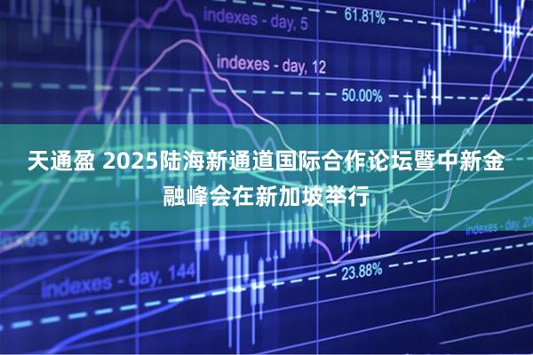 天通盈 2025陆海新通道国际合作论坛暨中新金融峰会在新加坡举行