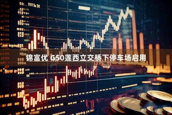 锦富优 G50莲西立交桥下停车场启用