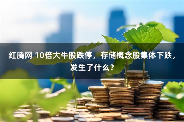 红腾网 10倍大牛股跌停，存储概念股集体下跌，发生了什么？